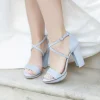 Harriet Wilde Arabella Block Blau Wildleder Plateau Sandalen* Schuhe Für Hochzeitsgäste | Hochzeitsschuhe